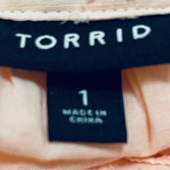 Torrid Clip Dot Lace Trim Long Sleeve Blouse - Picture 6 of 7